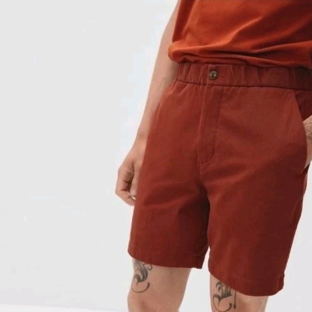Everlane Mens The Pull-On Performance Chino Short Mohogany Brown S
